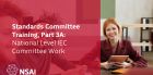 Standards Committee Training - Part 3A: National Level IEC Work
