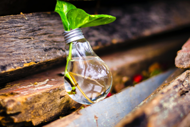ISO 56001 Innovation Management - Have your say