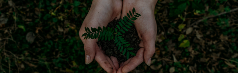 EU Ecolabel Case Studies
