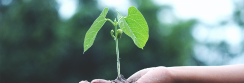 Standards and Climate Action