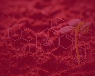 ISO 14001:2026 Transition Policy