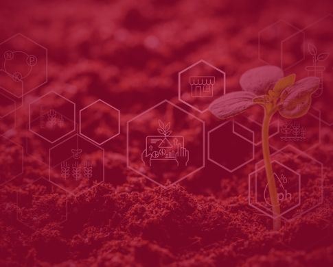 ISO 14001:2026 Transition Policy
