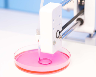 Research and standards – Workshop - 3D Bioprinting: toward Standards in Biomedicine