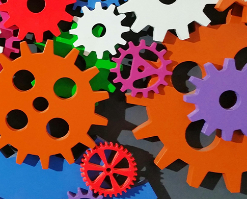 Improve your organisation’s capabilities to identify and realise new value