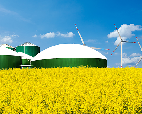 NSAI calls for experts in Ireland to participate in standardisation in the area of Biogas