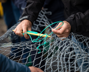 NSAI calls for experts in Ireland to participate in standardisation of circularity and recyclability of fishing gear and aquaculture equipment