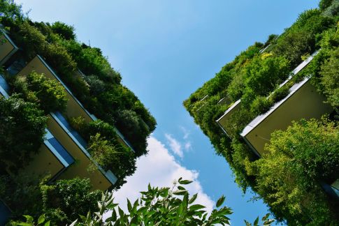 Transitioning your Environmental Management System certification to I.S. EN ISO 14001:2026